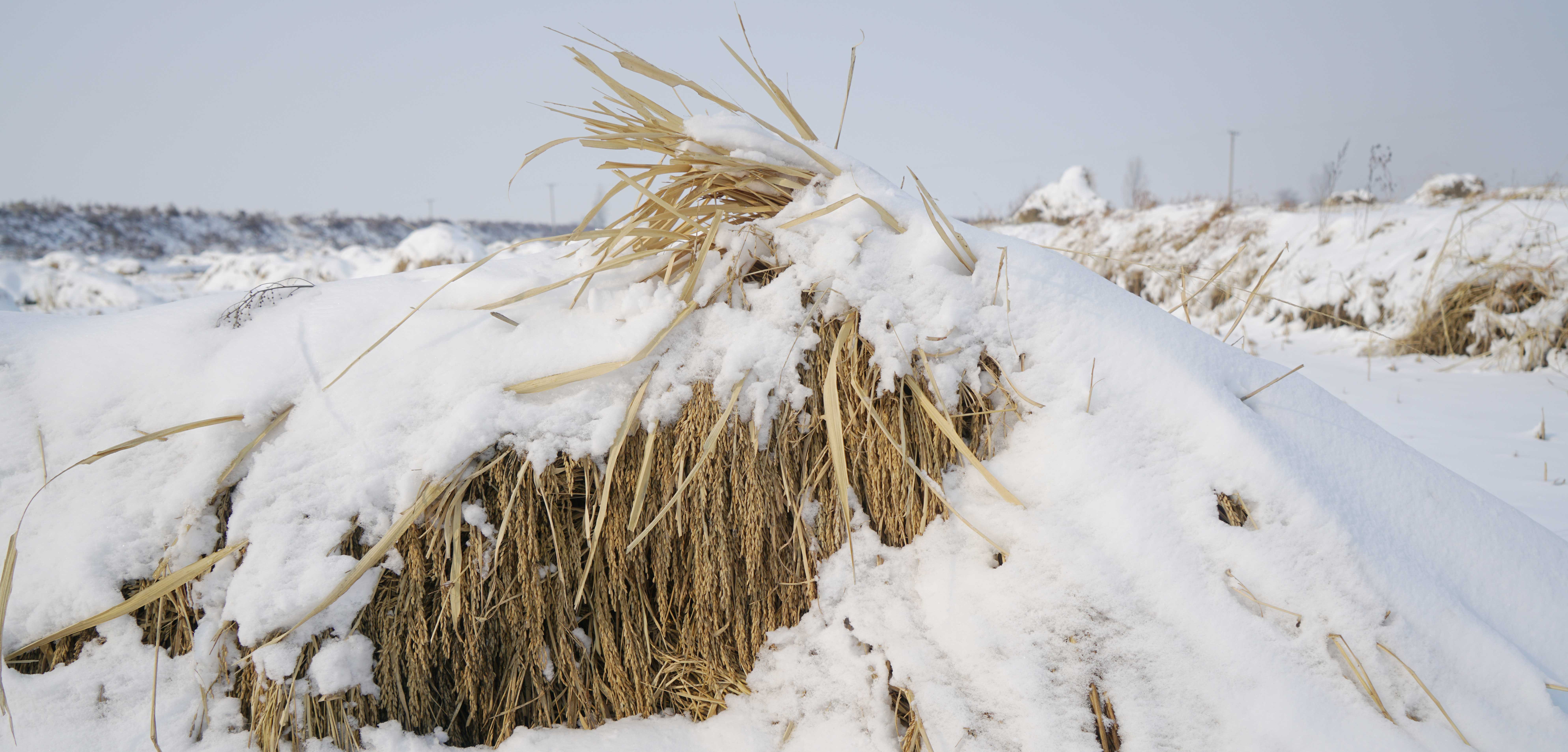 莫塞尔商城_华为旗下品质生活平台